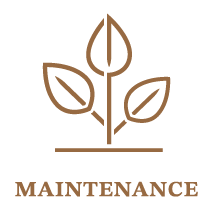 branson icons maintenance